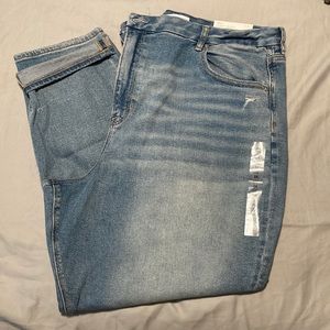 American Eagle Jeans (24 long)